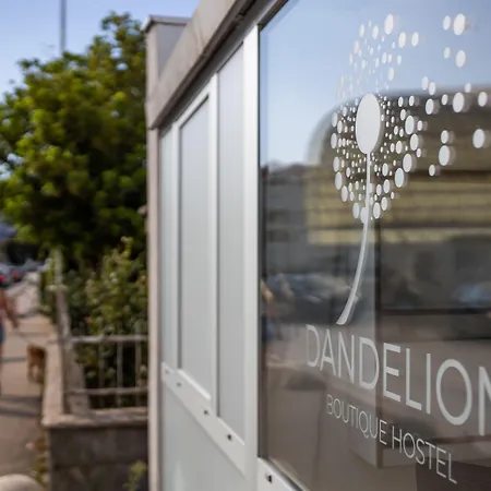 Hostel Dandelion *