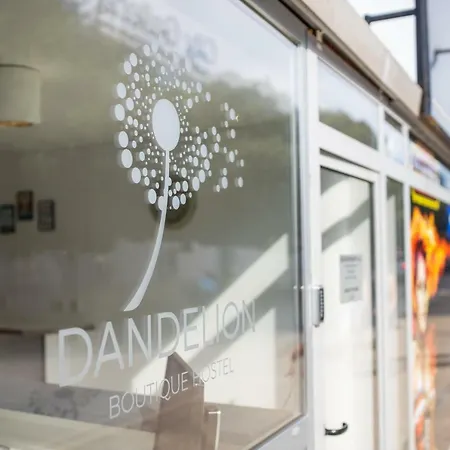 旅馆 Dandelion